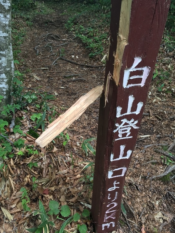 イメージ 8