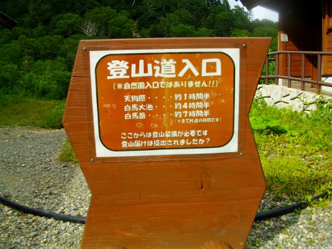 イメージ 6