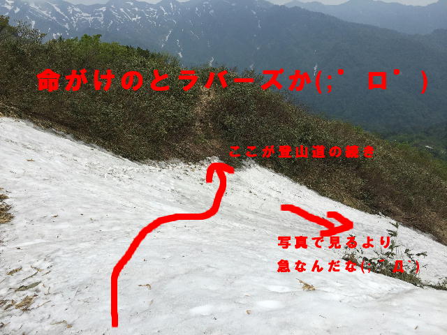 イメージ 6