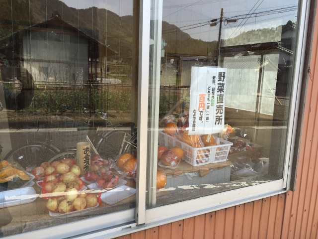 イメージ 17
