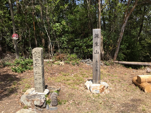 イメージ 3