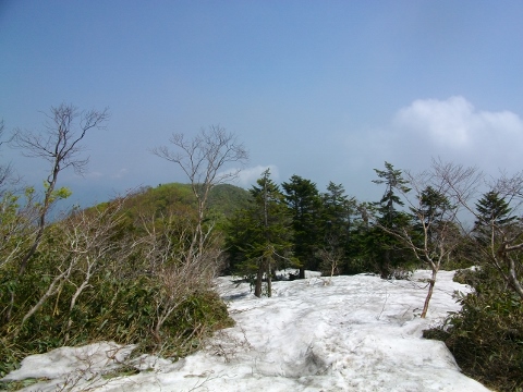 イメージ 5