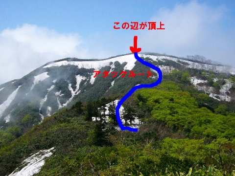 イメージ 8