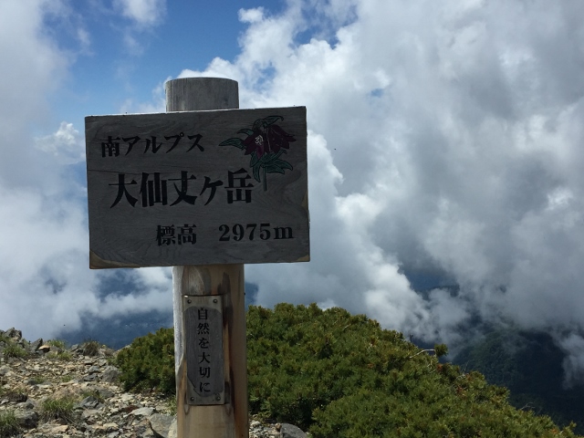イメージ 18
