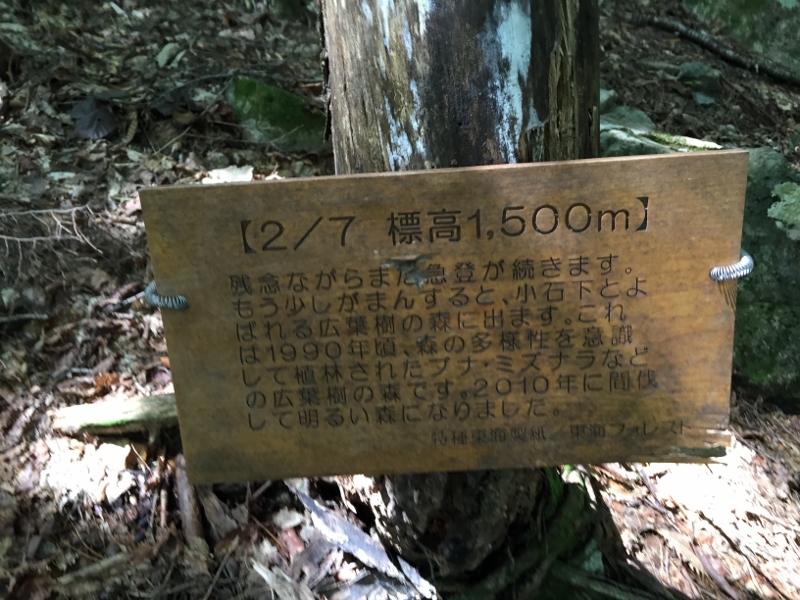 イメージ 12