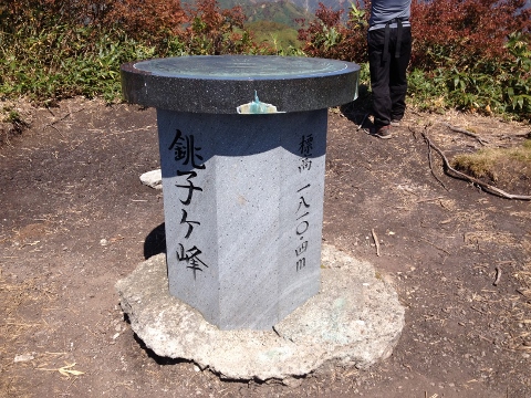 イメージ 8