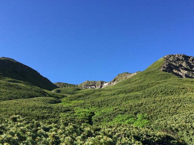 イメージ 12