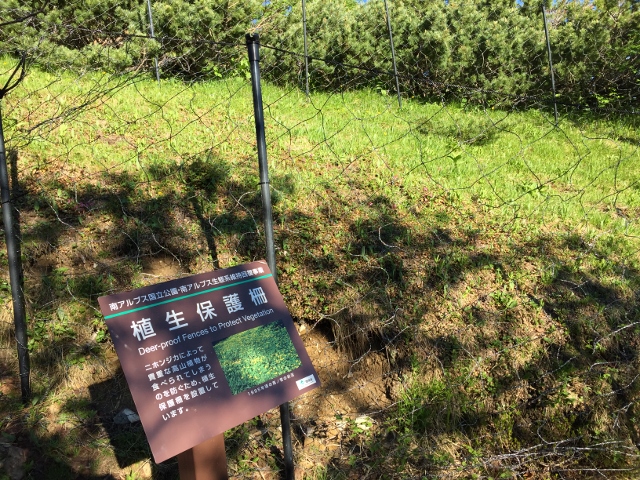 イメージ 17