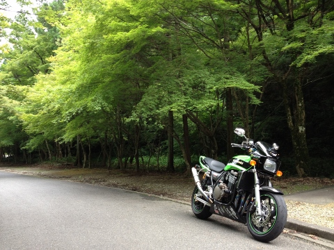 イメージ 1