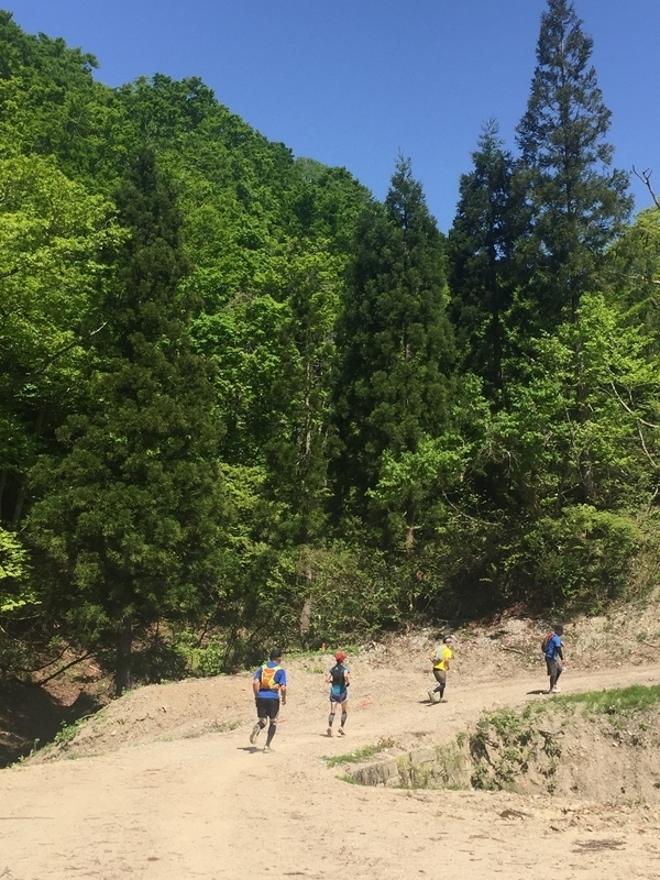 イメージ 10