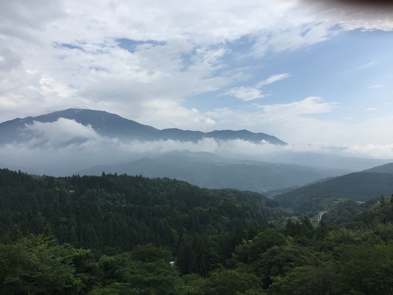 イメージ 5