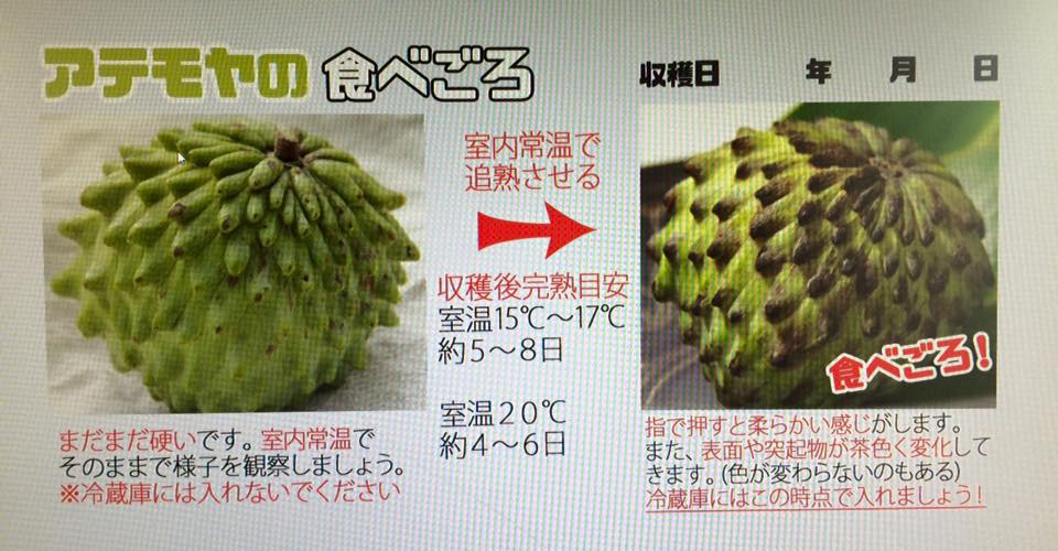 f:id:bumpmania:20170201180331j:plain