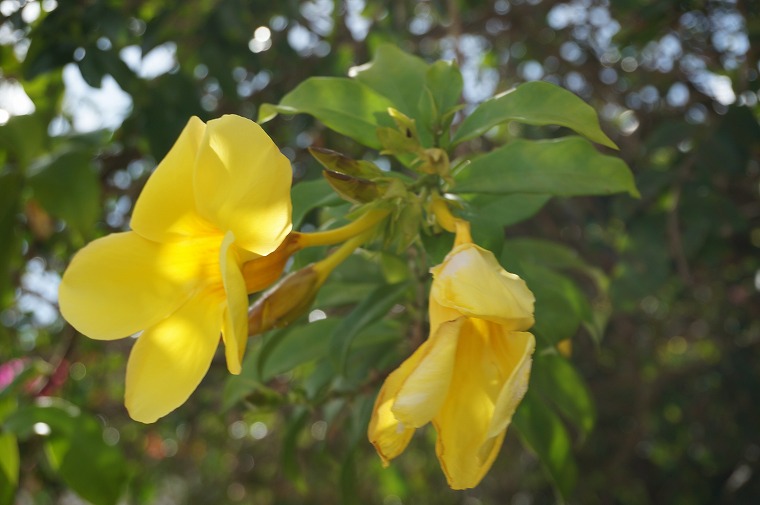 f:id:bumpmania:20170810134205j:plain f:id:bumpmania:20170810134205j:plain