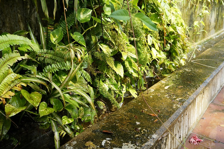 f:id:bumpmania:20170810135035j:plain f:id:bumpmania:20170810135035j:plain