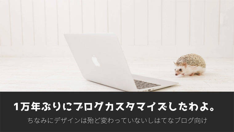 【はてなブログ向け】1万年ぶりにブログをカスタマイズしました。見た目？変わってないよ