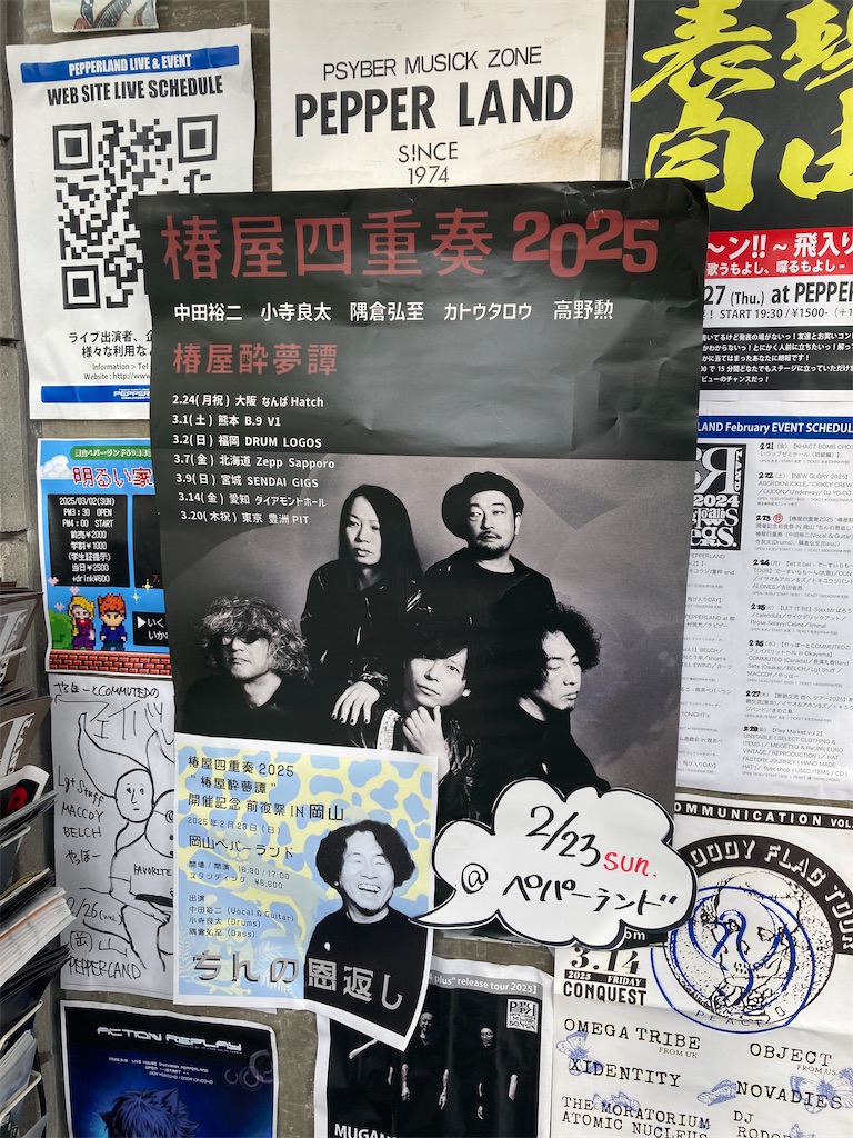 f:id:bumpofchokin:20250223213029j:image