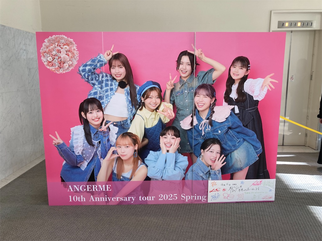 f:id:bumpofchokin:20250407010320j:image