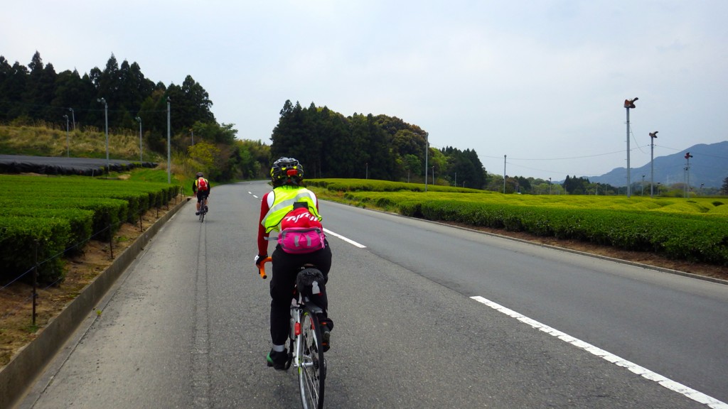 f:id:bumpy_ride:20170429121427j:plain f:id:bumpy_ride:20170429121427j:plain
