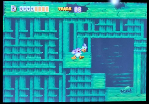 f:id:bunaguchi:20200607154017j:plain:w320