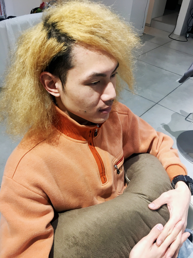 毛なし暮らし 始めました 毛なし暮らし 毛なし暮らし 始めました 毛なし暮らし