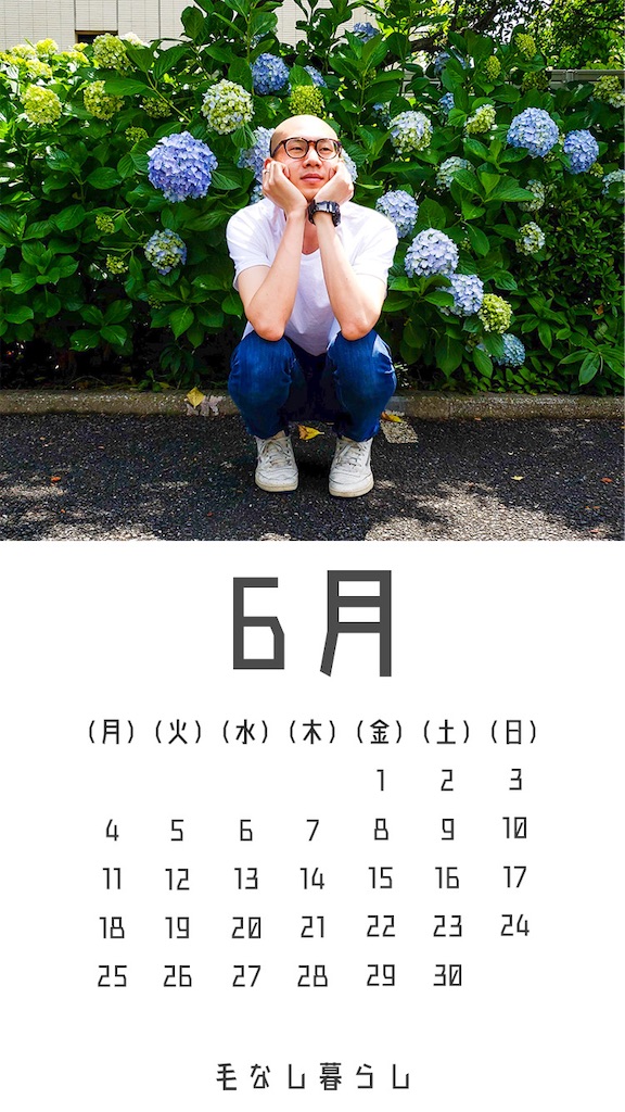 f:id:bunamato_mosiki:20200515212959j:image