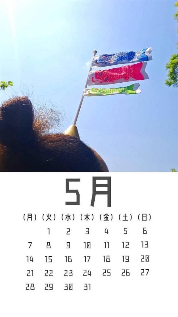 f:id:bunamato_mosiki:20200515213011j:image