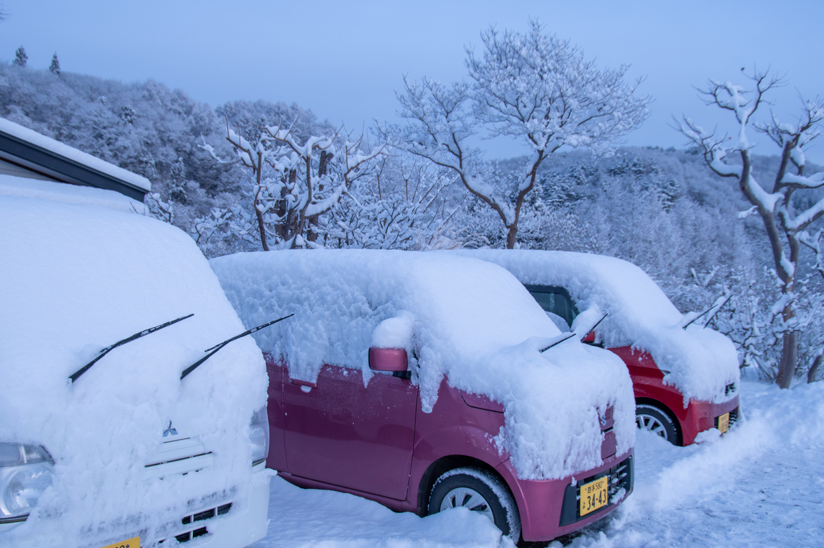 今冬一番 20cmの積雪 - 自然との戯れ