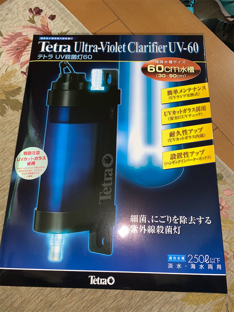 f:id:bunbun_cardinaltetra:20200720143534j:image