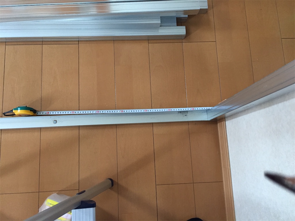 f:id:bunbun_cardinaltetra:20210123190258j:image
