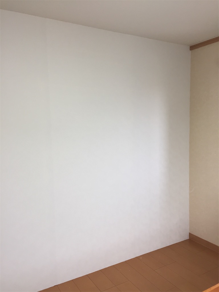 f:id:bunbun_cardinaltetra:20210130162448j:image