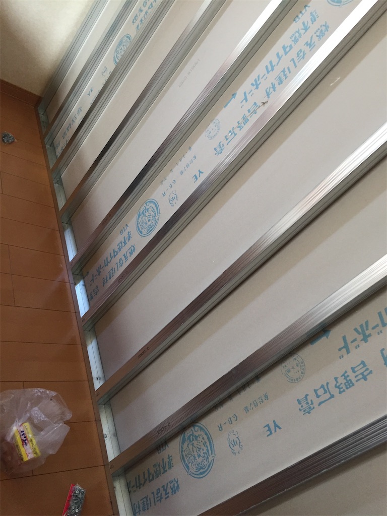 f:id:bunbun_cardinaltetra:20210130162606j:image