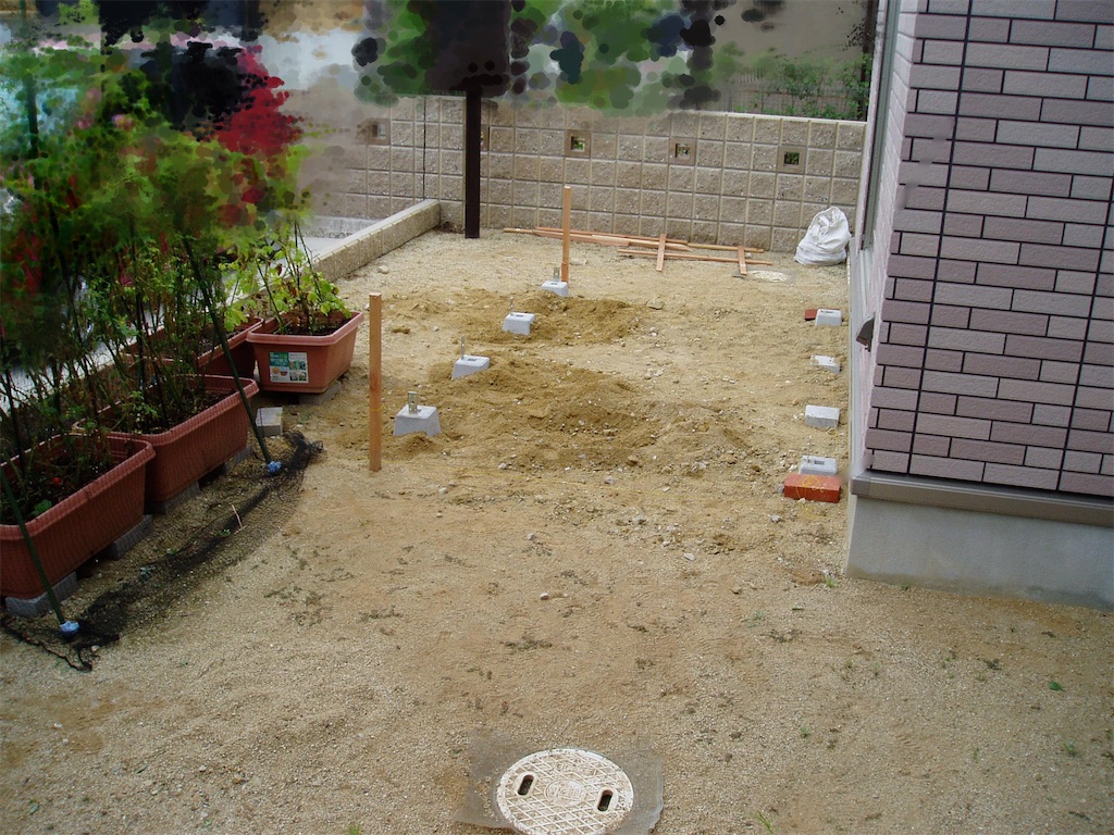 f:id:bunbun_cardinaltetra:20210417161110j:image