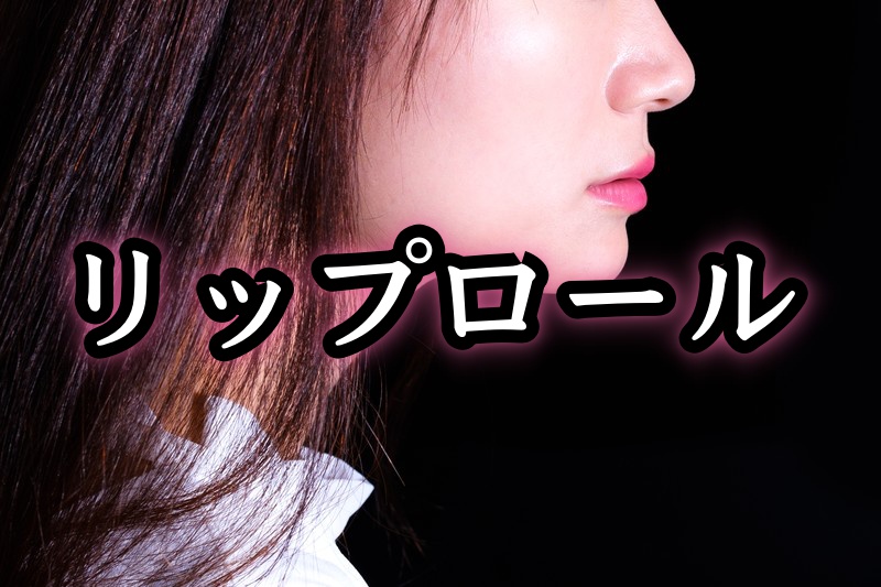 f:id:bunbun_core:20190123142342j:plain