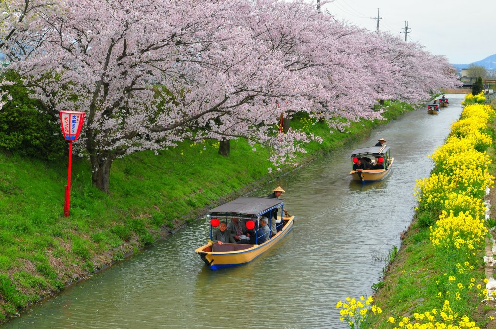 f:id:bunbuta:20210524204819j:plain
