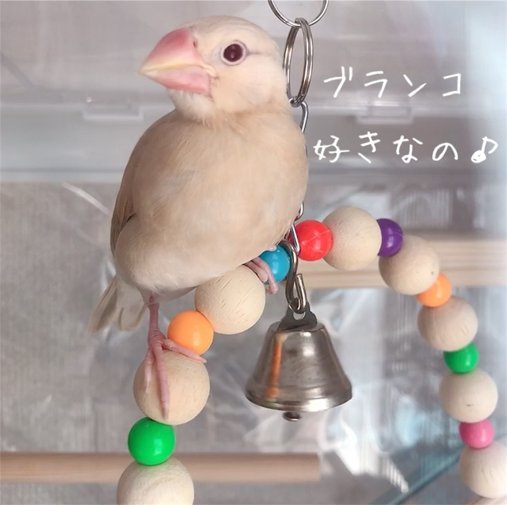ブランコとは 一般の人気 最新記事を集めました はてな