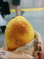 hachi2