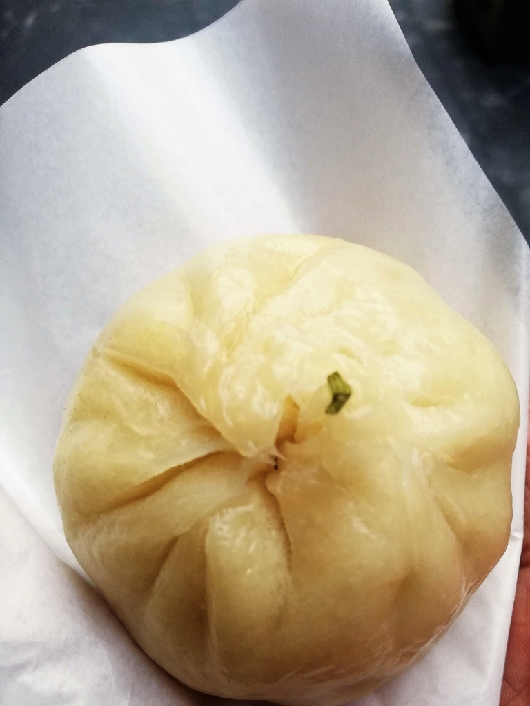 f:id:bungeling999:20190226105833j:plain