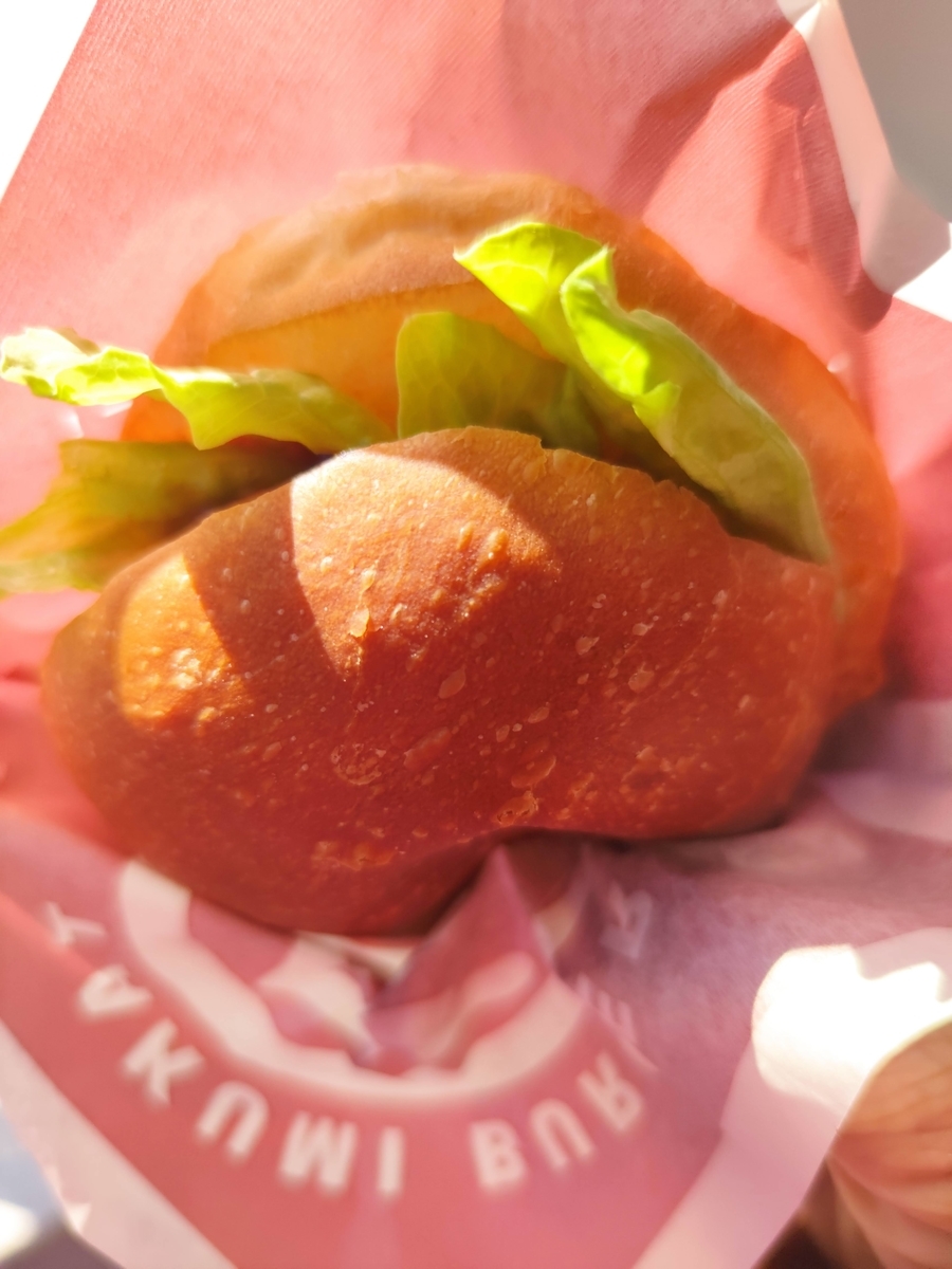f:id:bungeling999:20201223195221j:plain