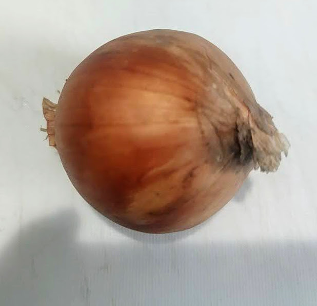 f:id:bungeling999:20210909220032j:plain