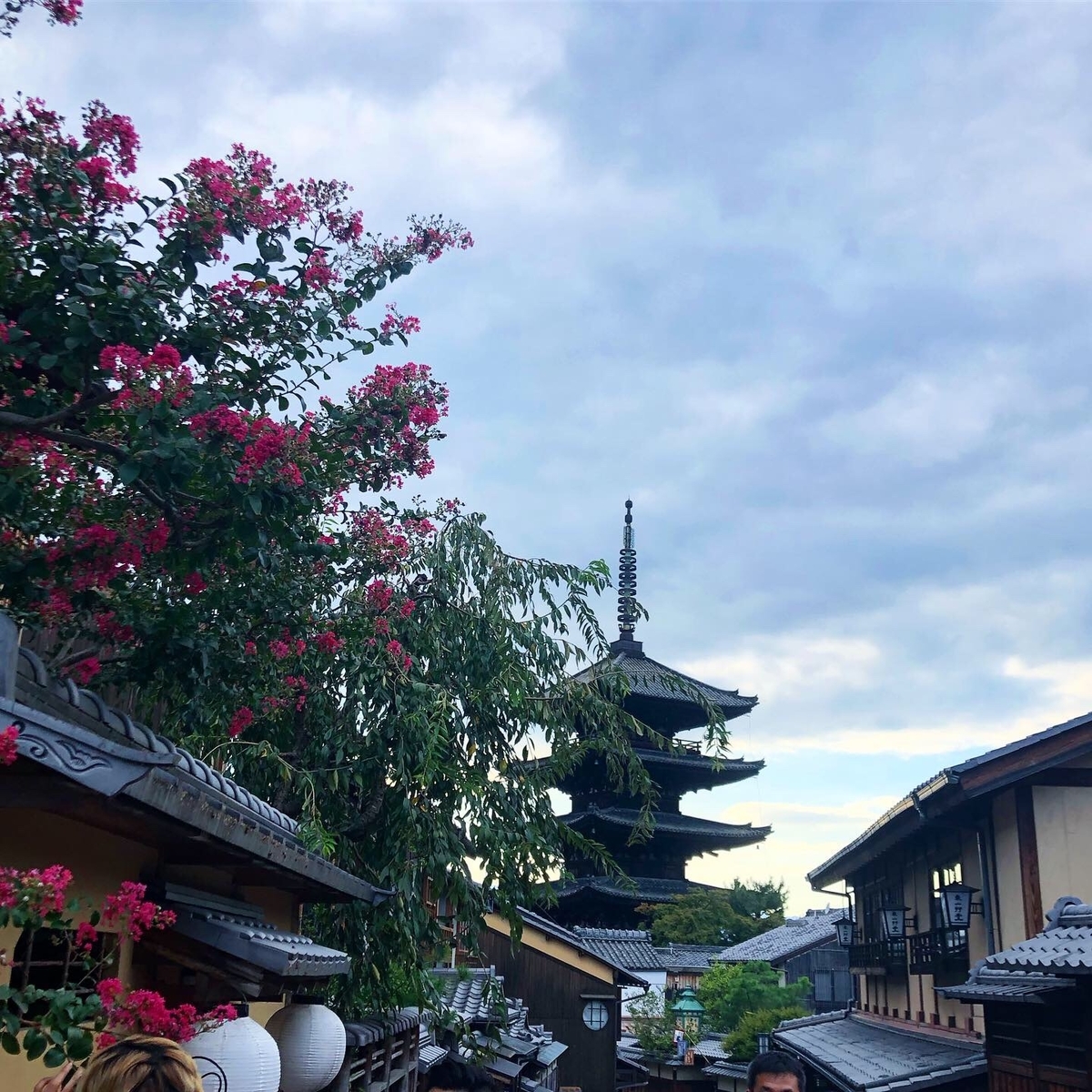 f:id:bungo618:20191106180240j:plain f:id:bungo618:20191106180240j:plain