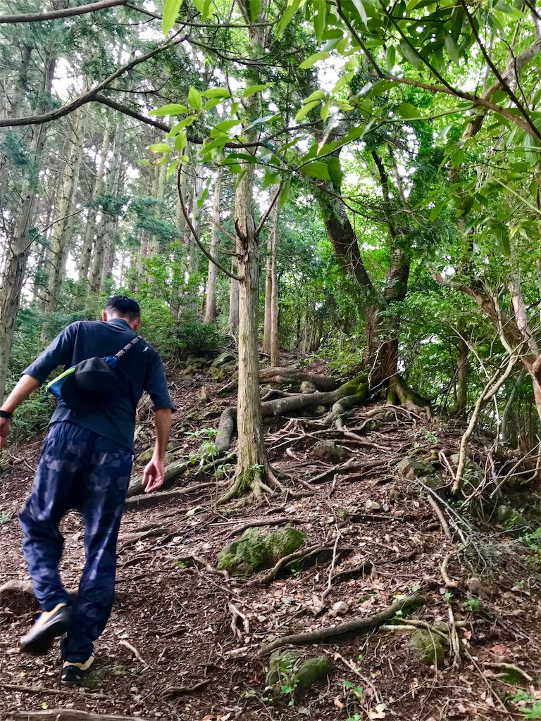 f:id:bungoalpineclub:20190710185159j:image f:id:bungoalpineclub:20190710185159j:image