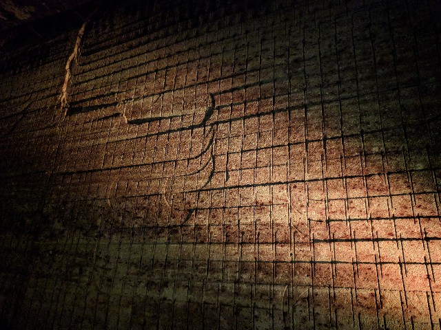 f:id:bunji2:20180916215210j:image