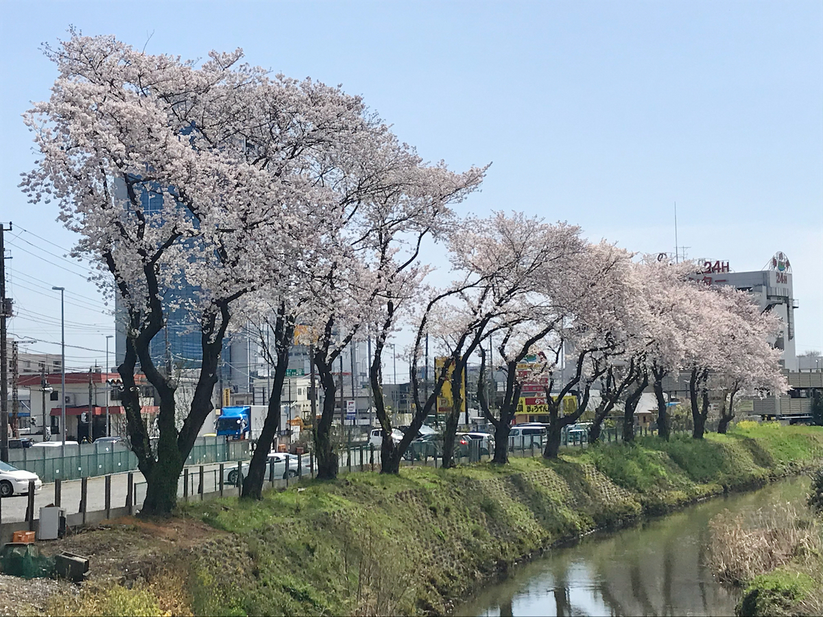 f:id:bunka-sp:20210418153815j:plain
