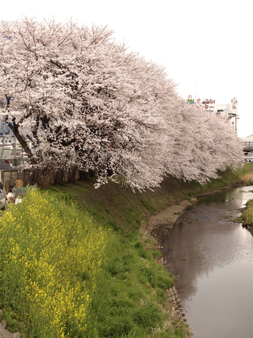 f:id:bunka-sp:20210418154252j:plain