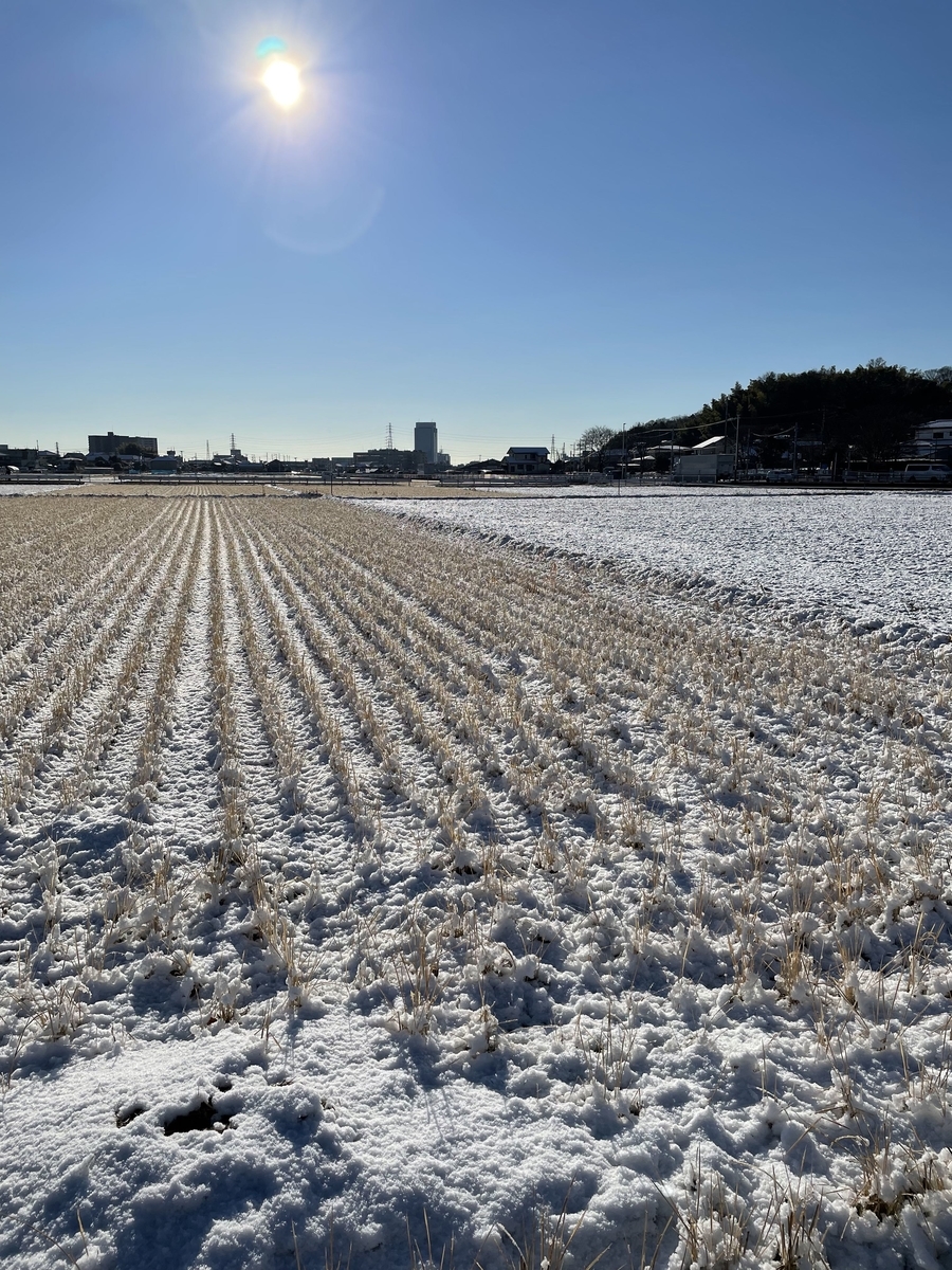 f:id:bunka-sp:20220108191306j:plain