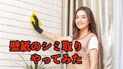 f:id:bunkatekipanda:20201008214150j:plain f:id:bunkatekipanda:20201008214150j:plain