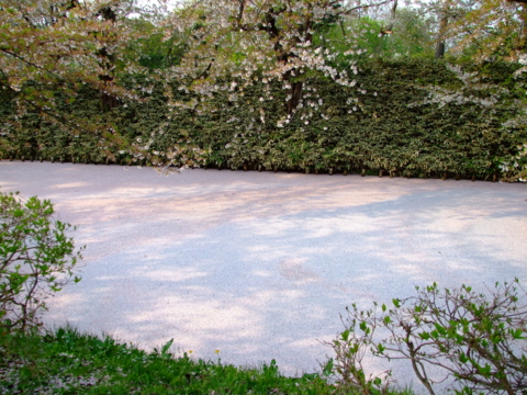 20080426160037