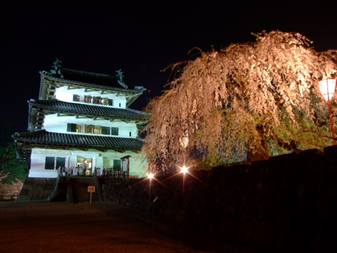 20080426205508