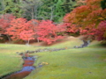 20091102095119