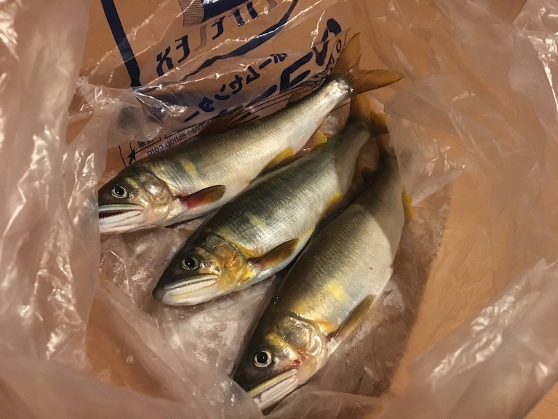 f:id:bunkohstyle:20181017224103j:plain f:id:bunkohstyle:20181017224103j:plain